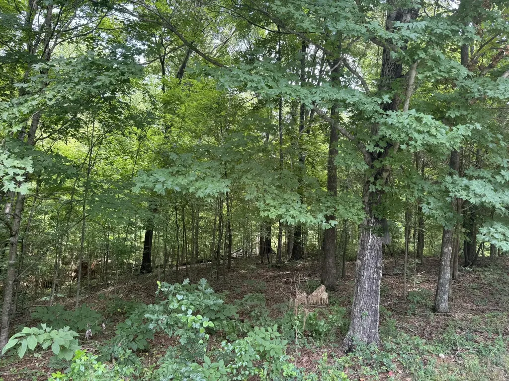 Lot 7 Woodsong Lane Murray KY 42071