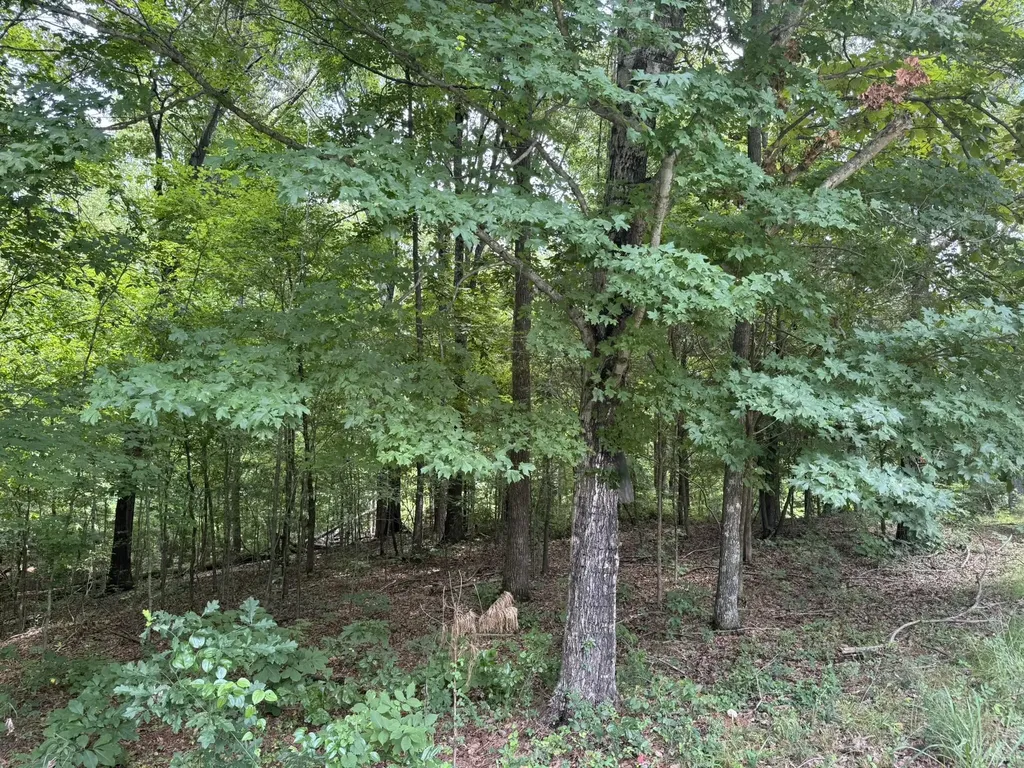 Lot 7 Woodsong Lane Murray KY 42071
