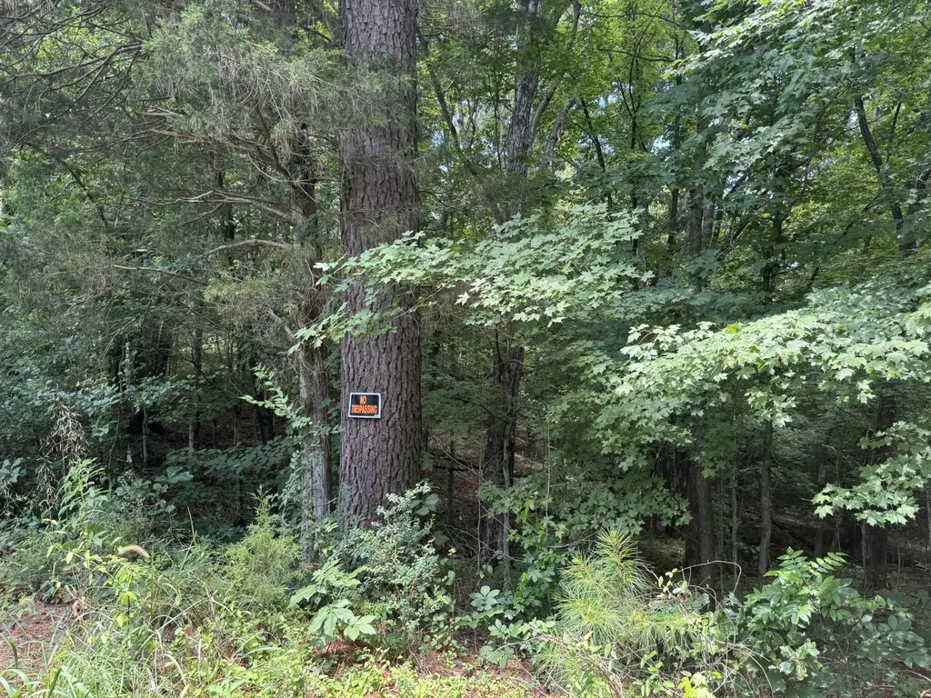 Lot 7 Woodsong Lane Murray KY 42071