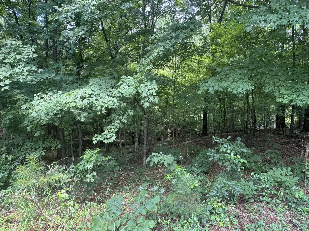 Lot 7 Woodsong Lane Murray KY 42071
