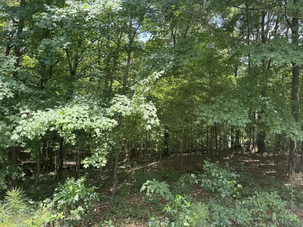 Lot 7 Woodsong Lane Murray KY 42071