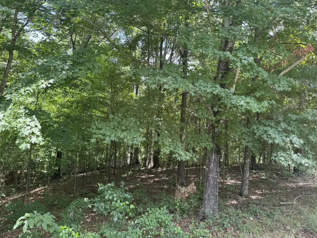 Lot 7 Woodsong Lane Murray KY 42071