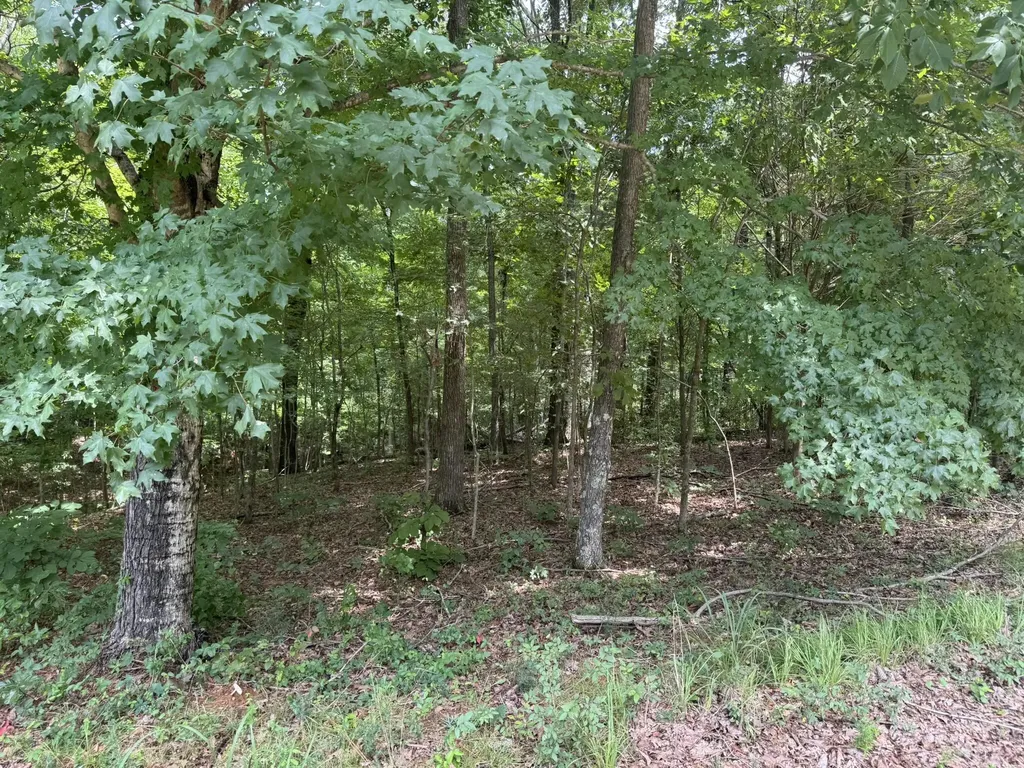 Lot 7 Woodsong Lane Murray KY 42071