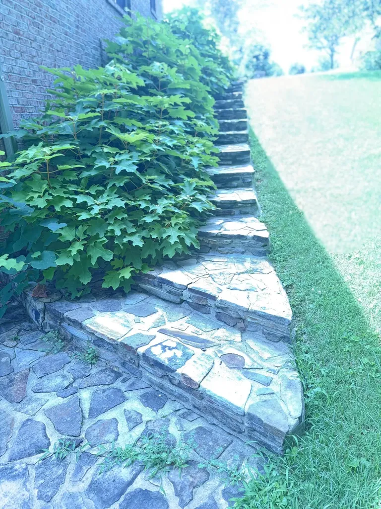 453 Water Cliff Drive Somerset KY 42503