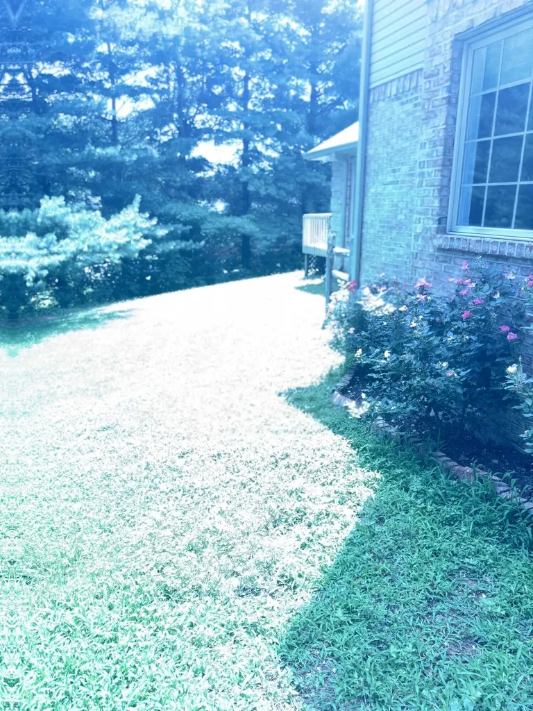 453 Water Cliff Drive Somerset KY 42503