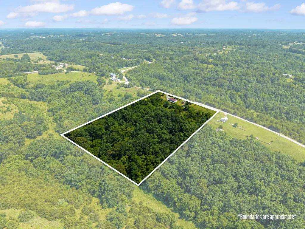 4389 Snake Lick Road Berry KY 41003