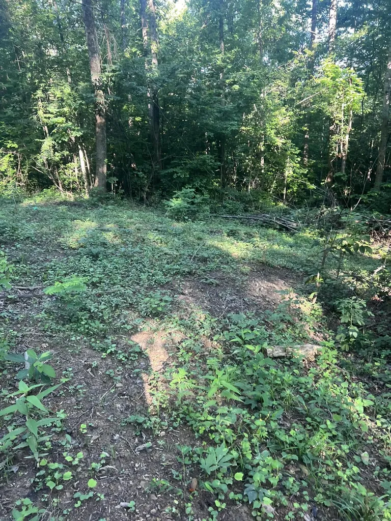 9999 Highway 2004 Mckee KY 40447