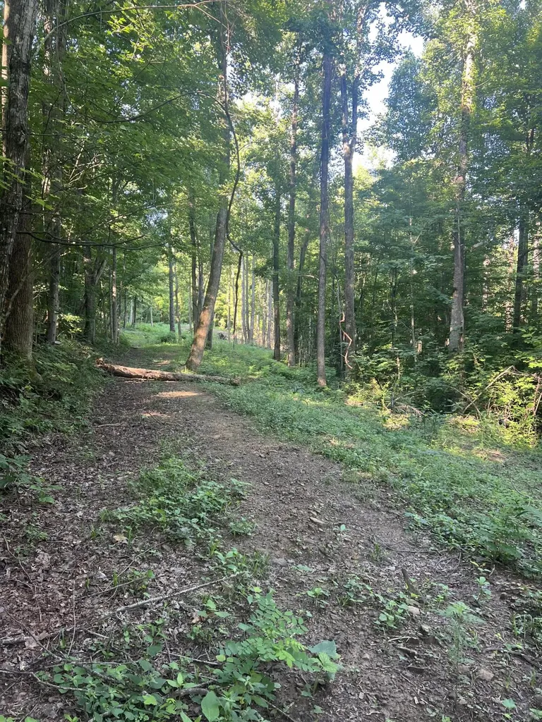9999 Highway 2004 Mckee KY 40447