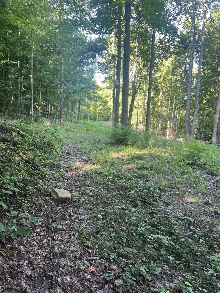 9999 Highway 2004 Mckee KY 40447