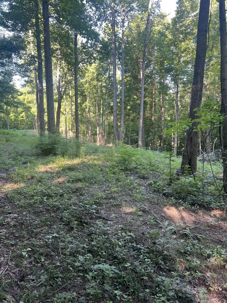 9999 Highway 2004 Mckee KY 40447