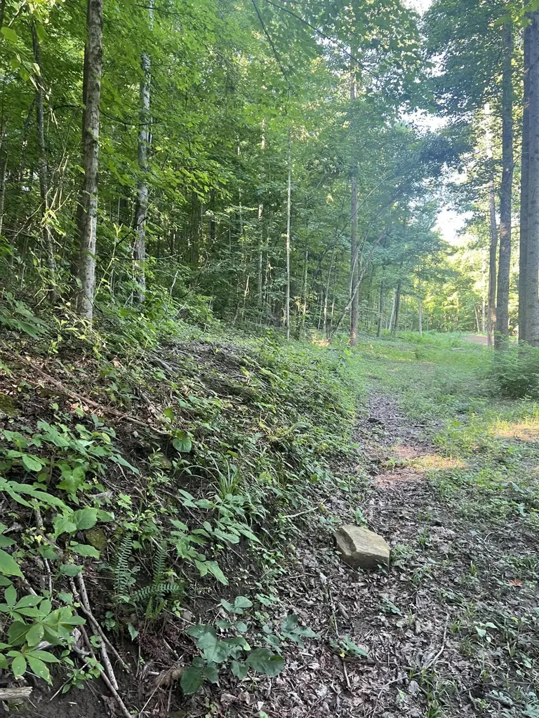 9999 Highway 2004 Mckee KY 40447