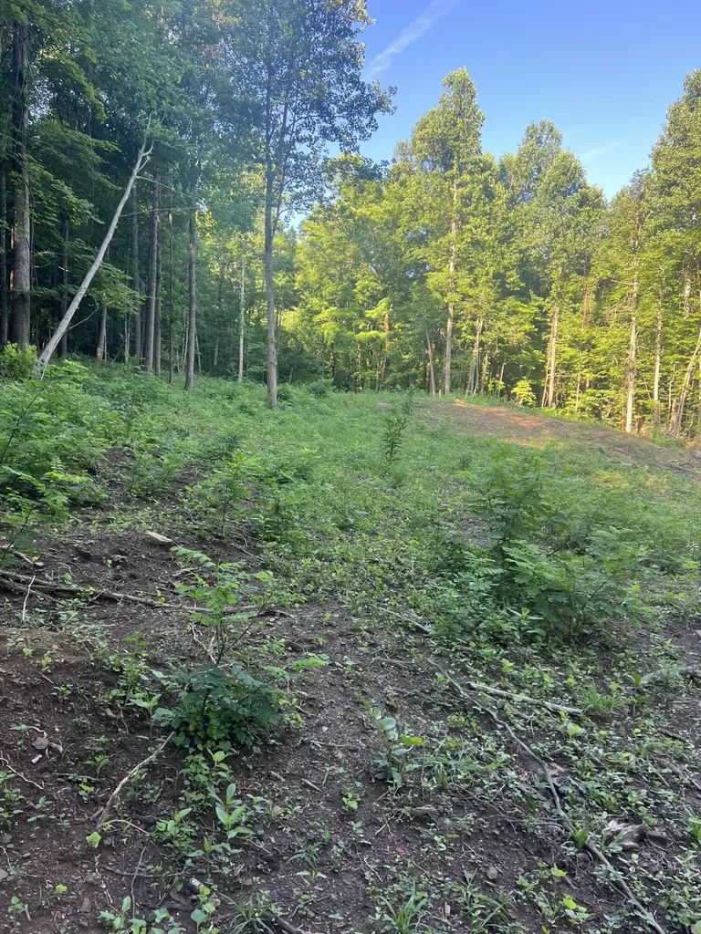9999 Highway 2004 Mckee KY 40447