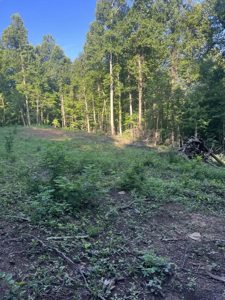 9999 Highway 2004 Mckee KY 40447