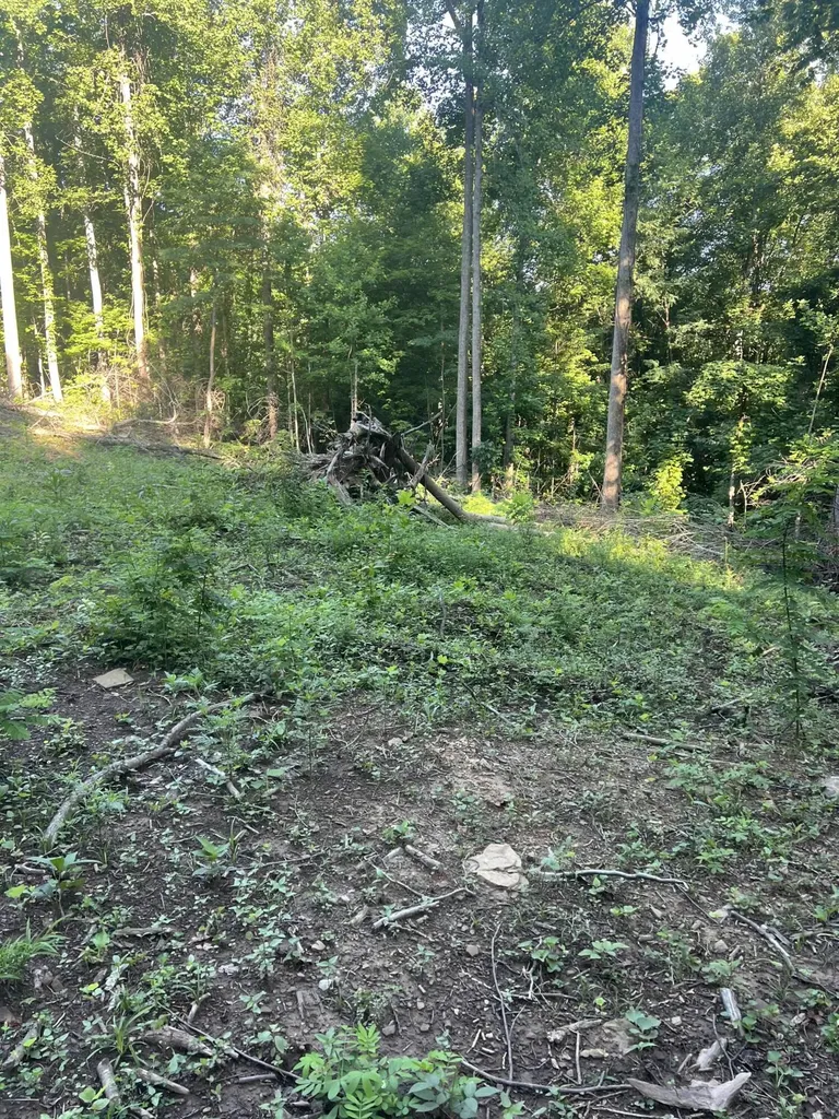 9999 Highway 2004 Mckee KY 40447