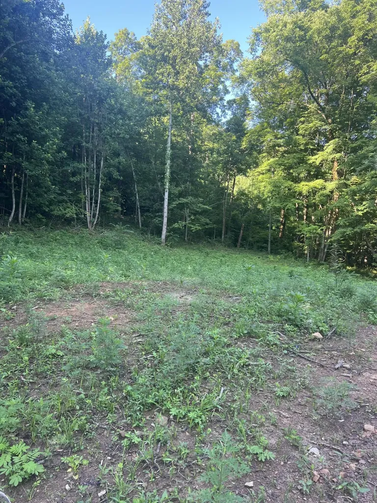 9999 Highway 2004 Mckee KY 40447