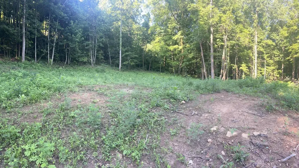 9999 Highway 2004 Mckee KY 40447