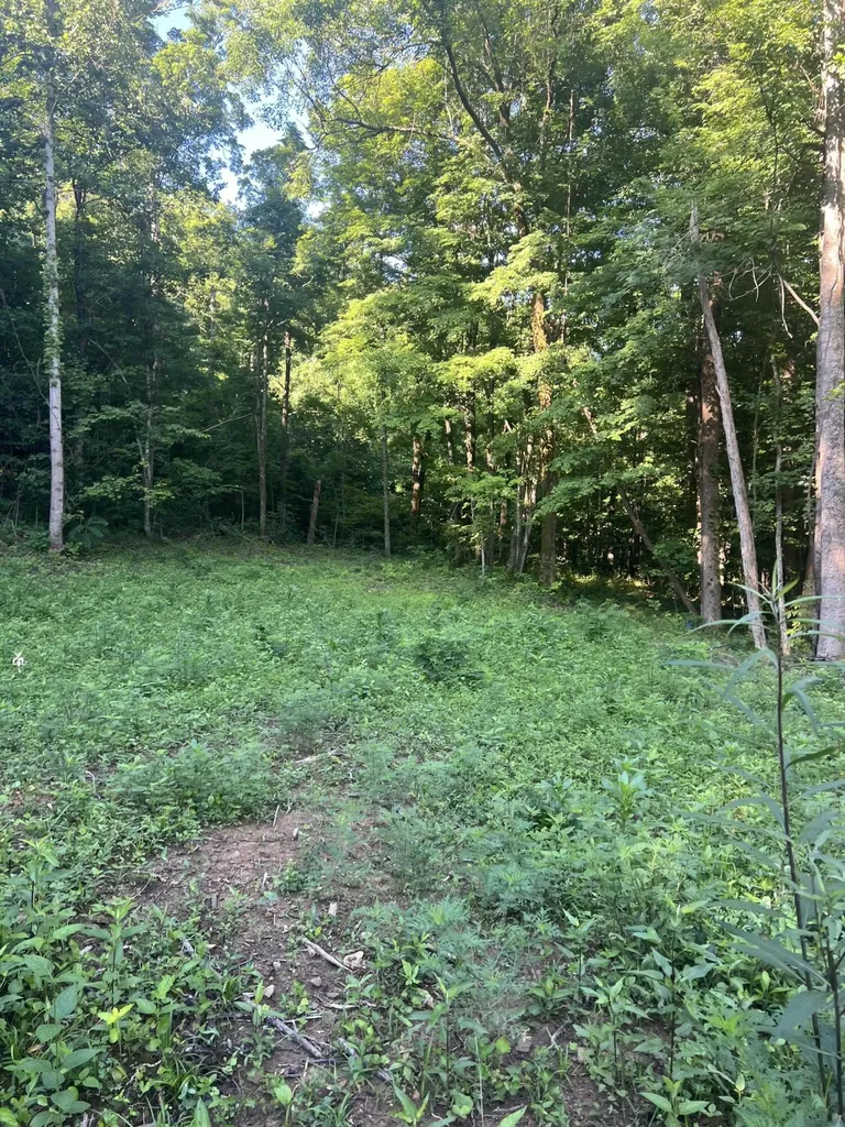 9999 Highway 2004 Mckee KY 40447