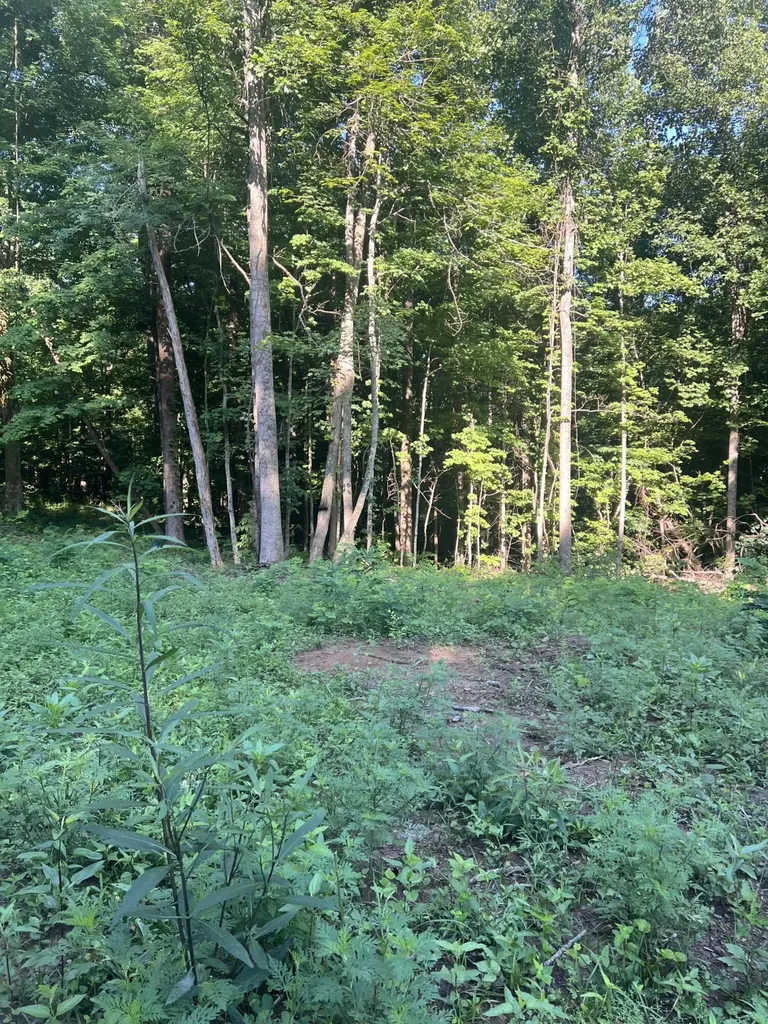 9999 Highway 2004 Mckee KY 40447