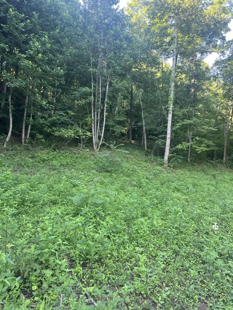9999 Highway 2004 Mckee KY 40447