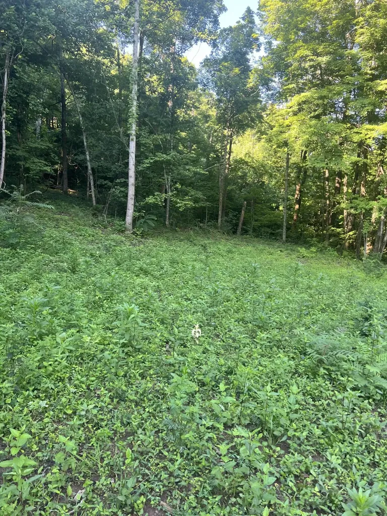 9999 Highway 2004 Mckee KY 40447