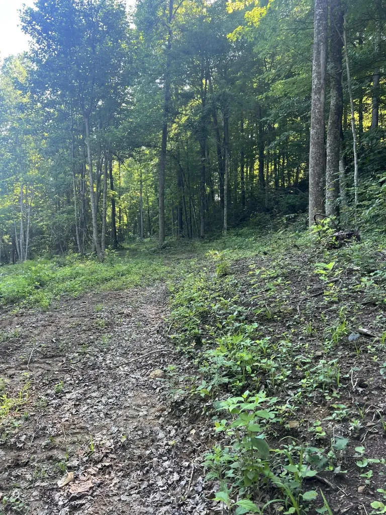 9999 Highway 2004 Mckee KY 40447