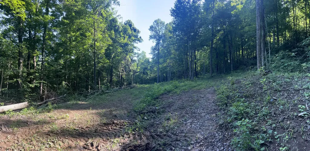9999 Highway 2004 Mckee KY 40447