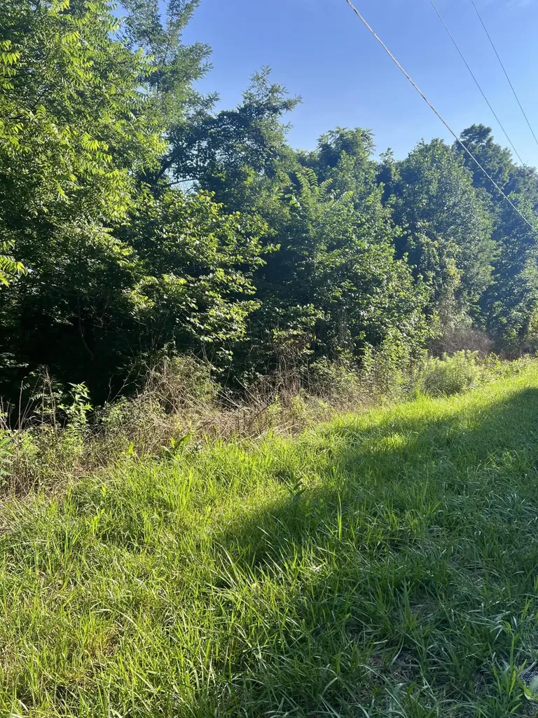 9999 Highway 2004 Mckee KY 40447