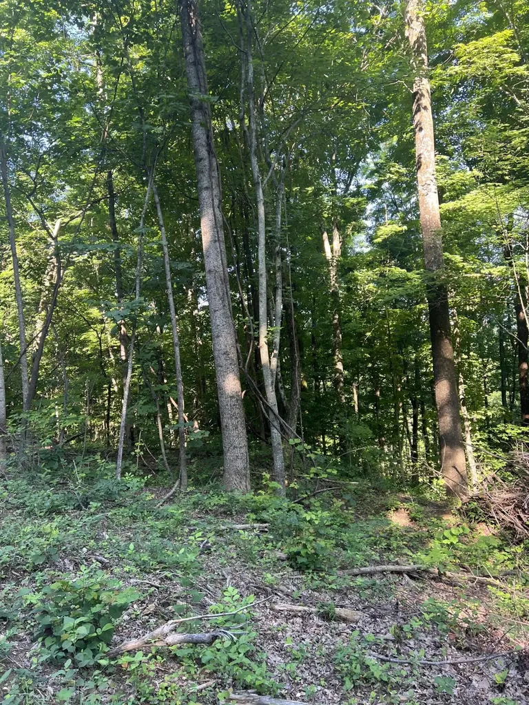 9999 Highway 2004 Mckee KY 40447