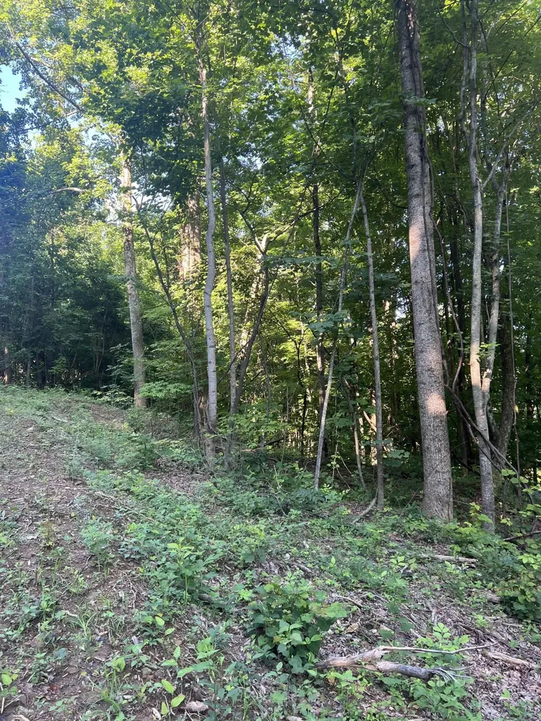9999 Highway 2004 Mckee KY 40447