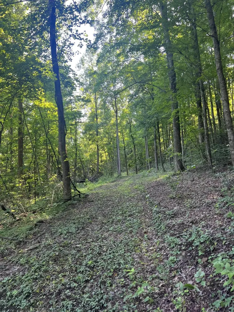 9999 Highway 2004 Mckee KY 40447