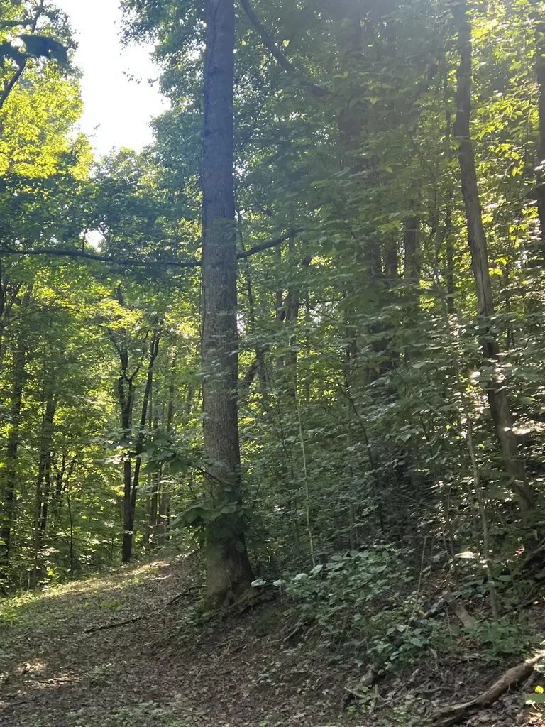 9999 Highway 2004 Mckee KY 40447