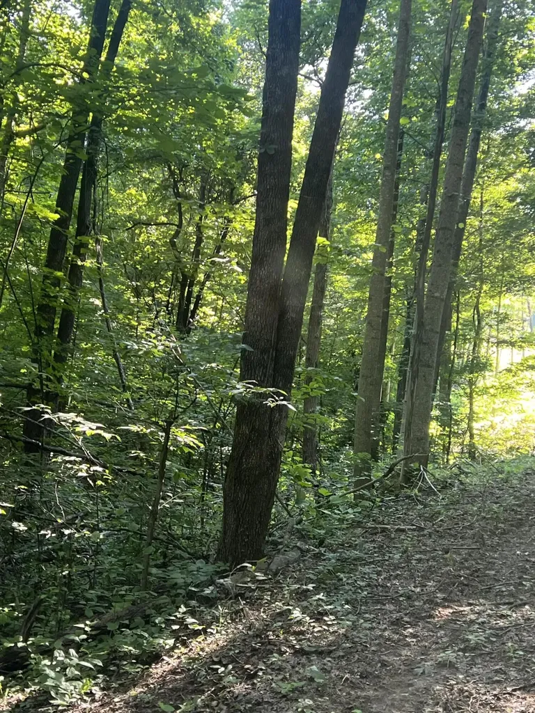 9999 Highway 2004 Mckee KY 40447