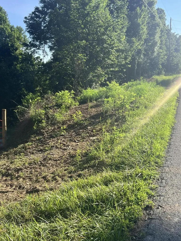 9999 Highway 2004 Mckee KY 40447