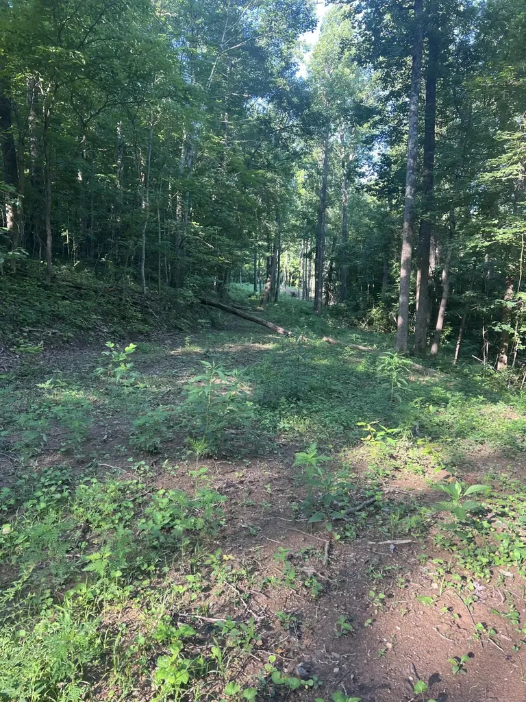 9999 Highway 2004 Mckee KY 40447