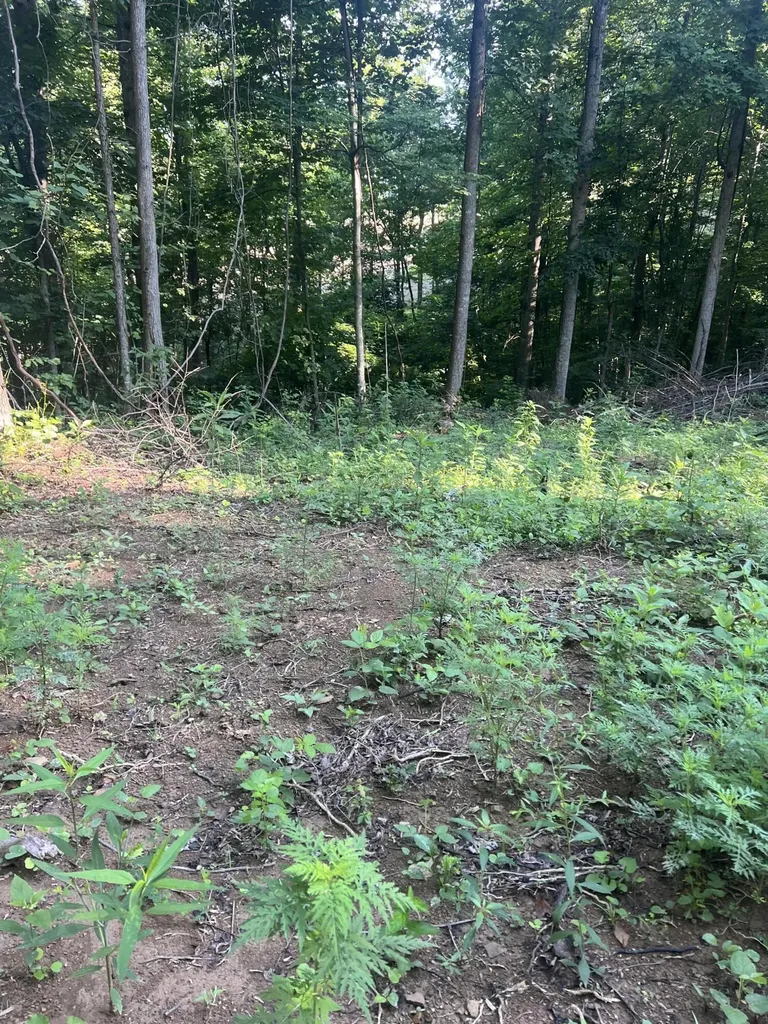 9999 Highway 2004 Mckee KY 40447