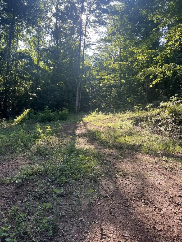 9999 Highway 2004 Mckee KY 40447