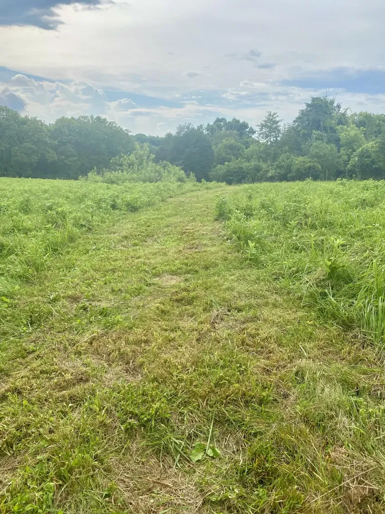 2175 Mcgee 1 Lane Nicholasville KY 40356