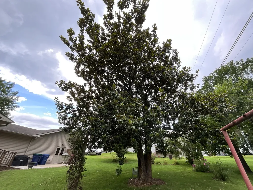 43 Collie Lane Eubank KY 42567