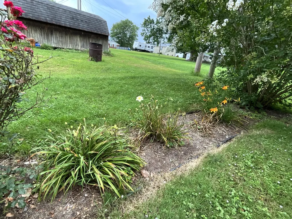 43 Collie Lane Eubank KY 42567