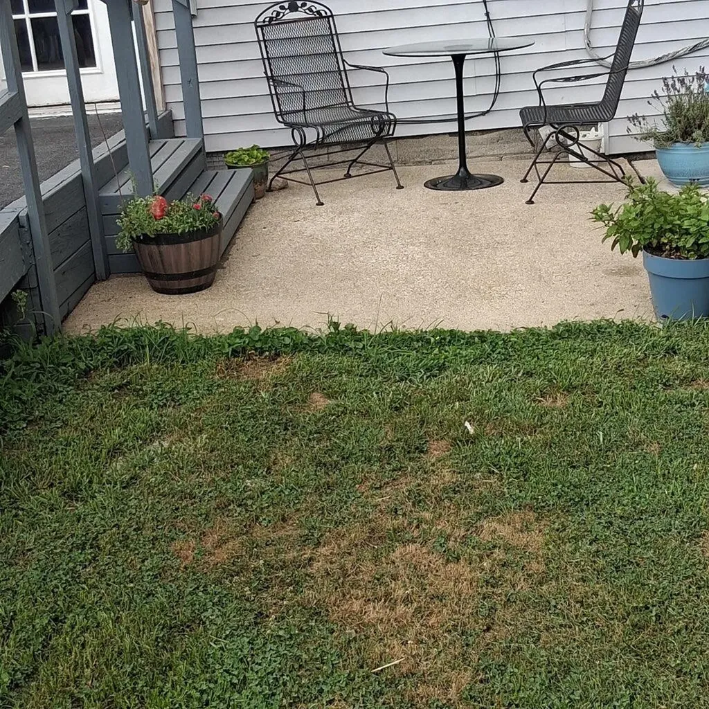 1724 Courtney Avenue Lexington KY 40505