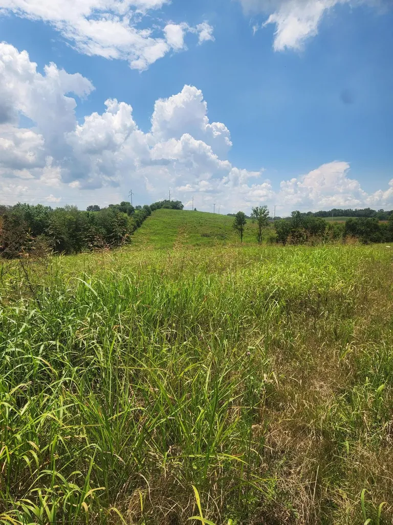 2145 Ruddles Mill Road Paris KY 40361