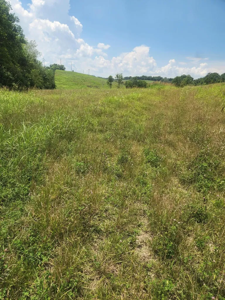 2145 Ruddles Mill Road Paris KY 40361