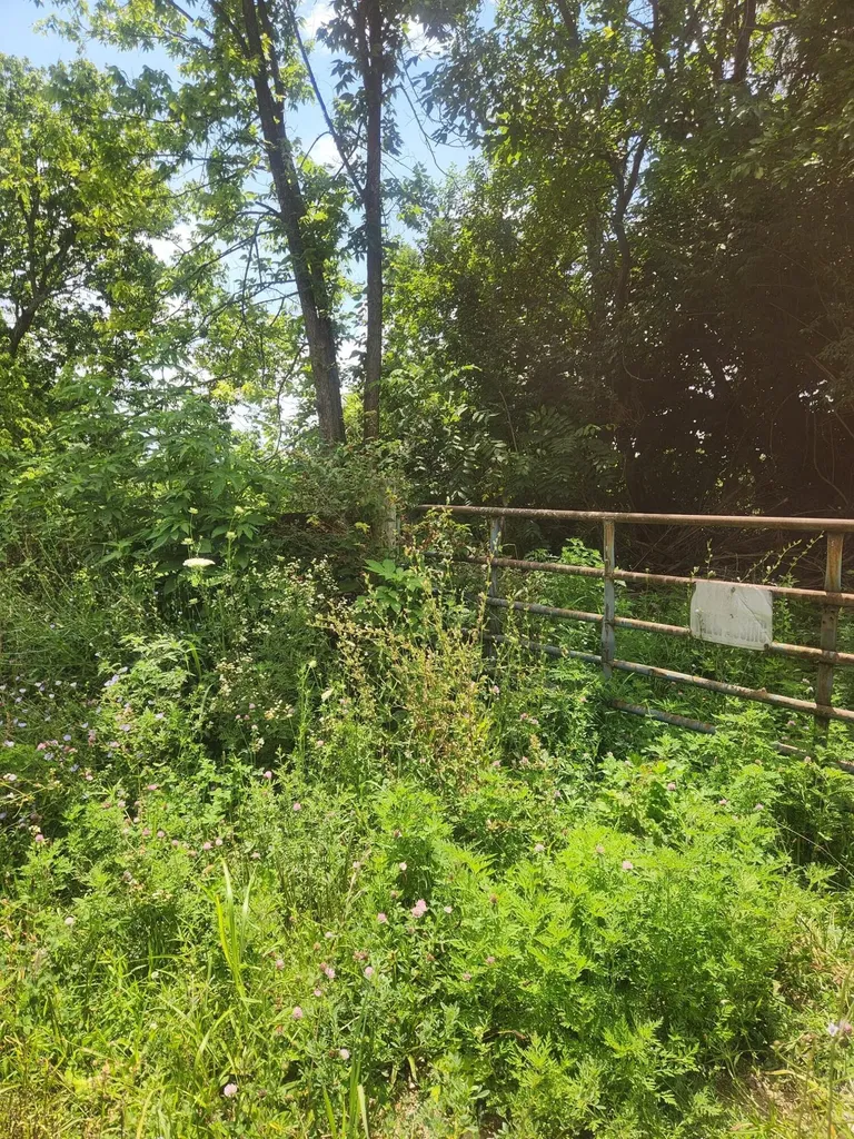 2145 Ruddles Mill Road Paris KY 40361
