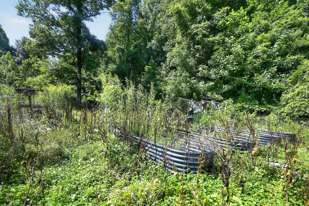 463 Hillman Road Olive Hill KY 41164