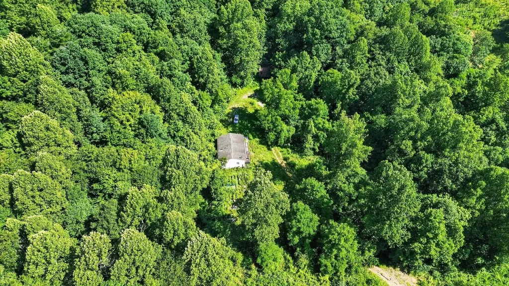 463 Hillman Road Olive Hill KY 41164