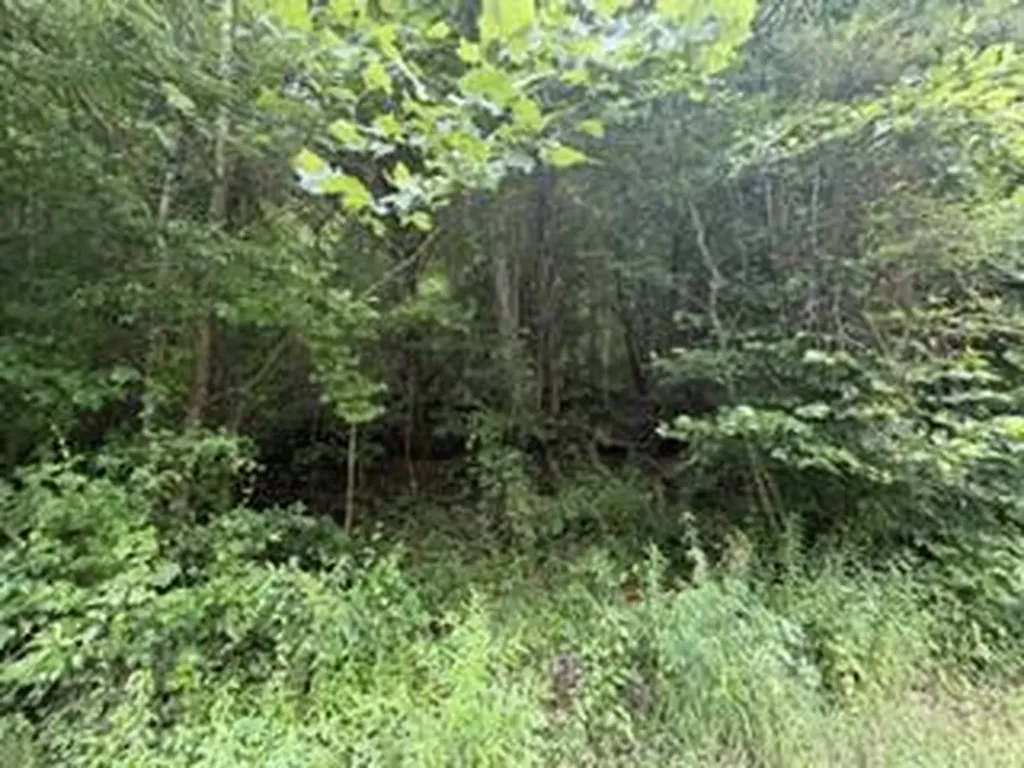 0 Ky-1534 Pineville KY 40977