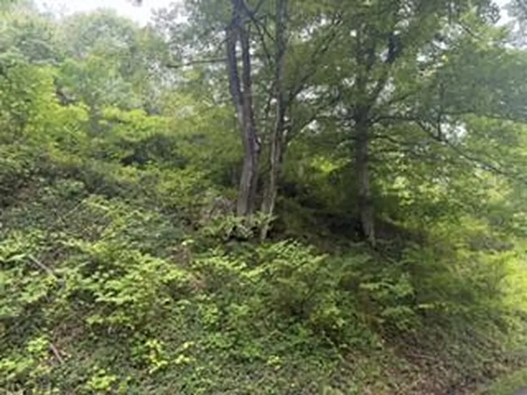 0 Ky-1534 Pineville KY 40977