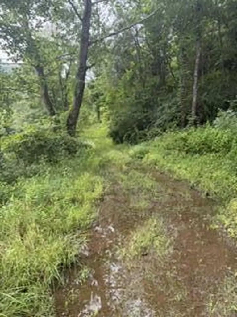 0 Ky-1534 Pineville KY 40977