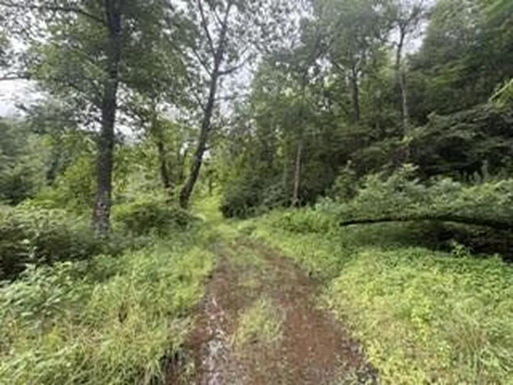 0 Ky-1534 Pineville KY 40977