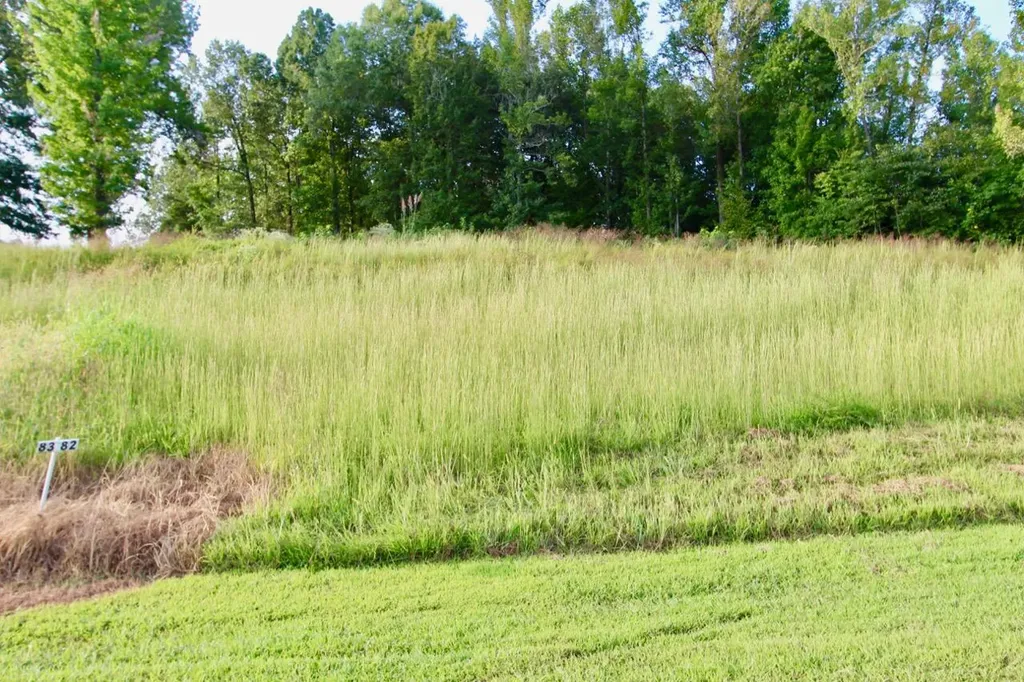 Lot 82 Kelsey Joe Lane Eddyville KY 42038